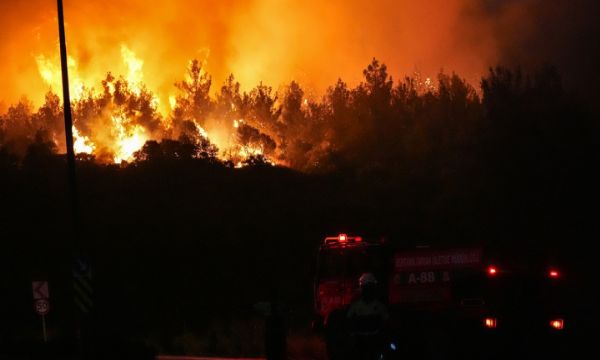 Selçuk'ta orman yangını (2)